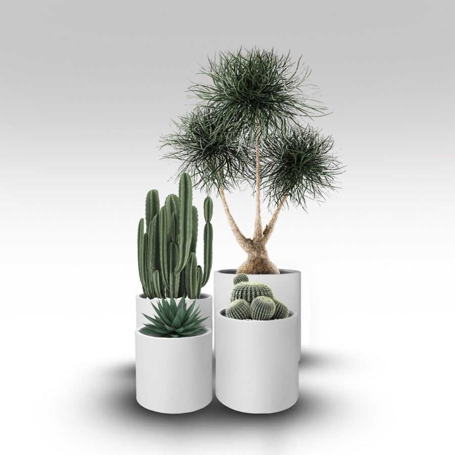 PAROS L - WHITE