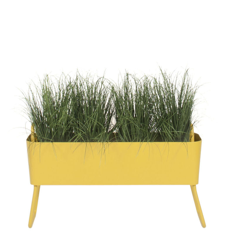 GREENS MINI SINGLE MOUTARDE