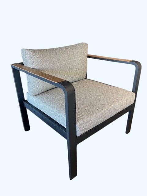 TOPAZ 1-S SOFA w/CUSHIONS